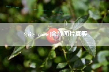 马鞍山金牌图片真实