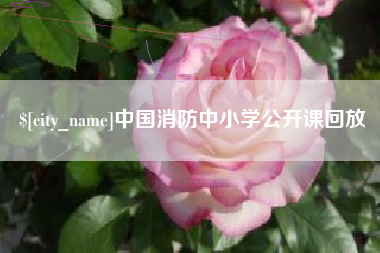 马鞍山中国消防中小学公开课回放