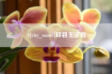 马鞍山邱县王子磊