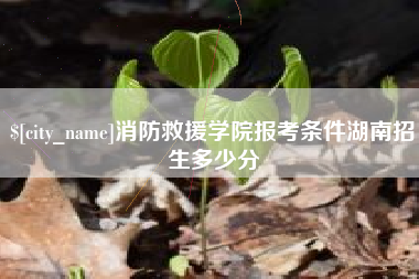马鞍山消防救援学院报考条件湖南招生多少分