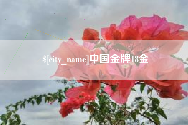 马鞍山中国金牌18金