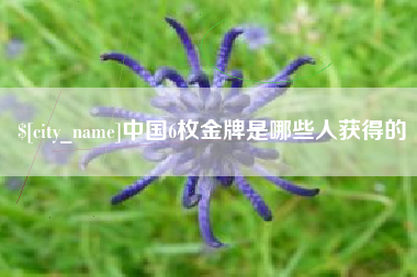 马鞍山中国6枚金牌是哪些人获得的
