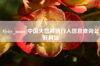 马鞍山中国失信被执行人信息查询公开网址