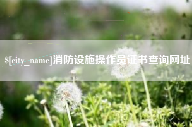 马鞍山消防设施操作员证书查询网址