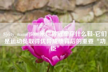 马鞍山5000米世界冠军穿什么鞋-它们是运动员取得优异成绩背后的重要“功臣”