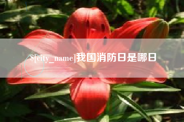 马鞍山我国消防日是哪日