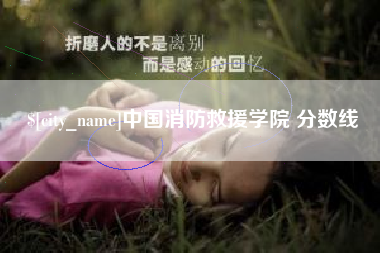 马鞍山中国消防救援学院 分数线