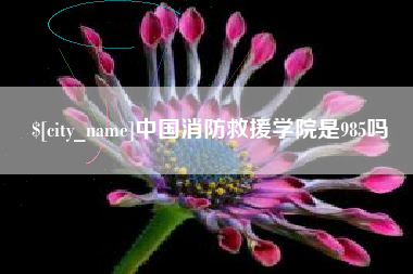 马鞍山中国消防救援学院是985吗