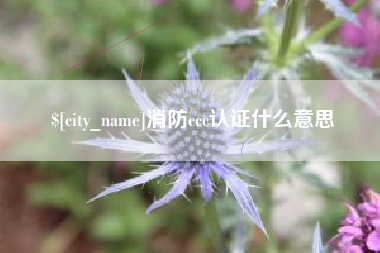 马鞍山消防ccc认证什么意思