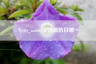 马鞍山全国消防日哪一