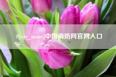 马鞍山中国消防网官网入口