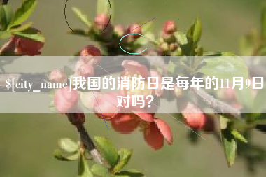 马鞍山我国的消防日是每年的11月9日对吗？