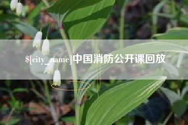 马鞍山中国消防公开课回放