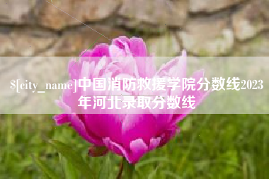 马鞍山中国消防救援学院分数线2023年河北录取分数线