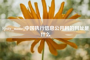 马鞍山中国执行信息公开网的网址是什么