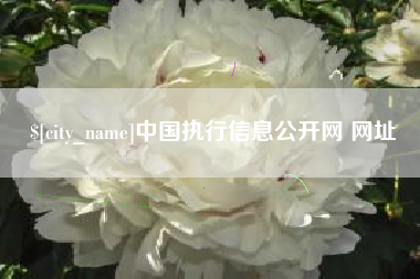 马鞍山中国执行信息公开网 网址