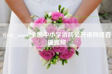 马鞍山全国中小学消防公开课网络直播视频