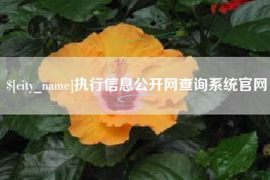 马鞍山执行信息公开网查询系统官网