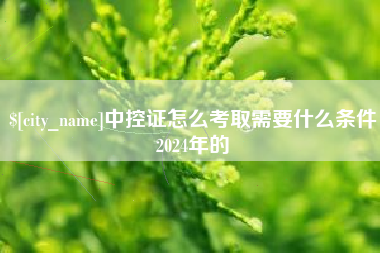 马鞍山中控证怎么考取需要什么条件2024年的