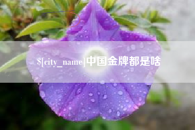 马鞍山中国金牌都是啥