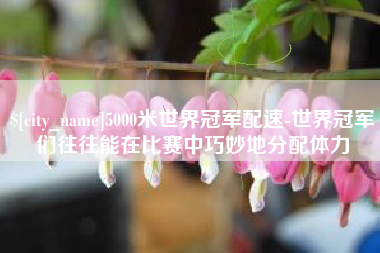 马鞍山5000米世界冠军配速-世界冠军们往往能在比赛中巧妙地分配体力