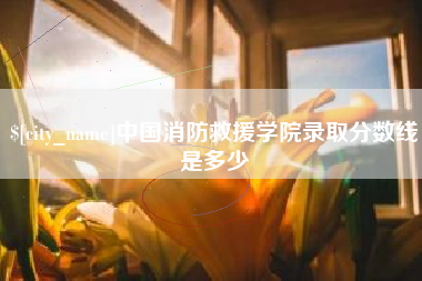 马鞍山中国消防救援学院录取分数线是多少