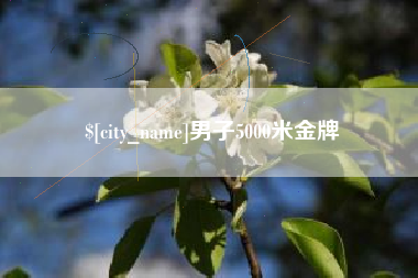 马鞍山男子5000米金牌