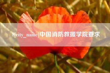 马鞍山中国消防救援学院要求