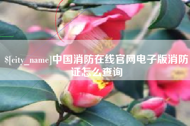 马鞍山中国消防在线官网电子版消防证怎么查询