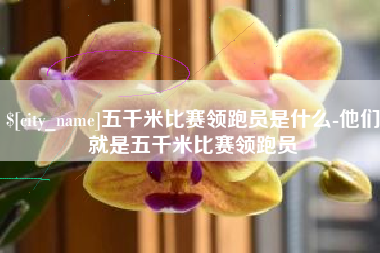 马鞍山五千米比赛领跑员是什么-他们就是五千米比赛领跑员