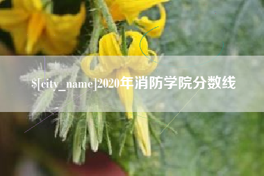 马鞍山2020年消防学院分数线
