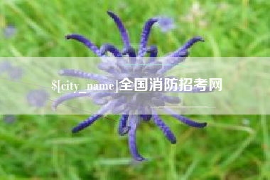 马鞍山全国消防招考网