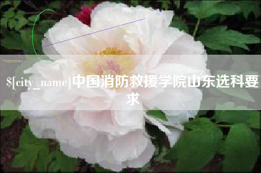 马鞍山中国消防救援学院山东选科要求
