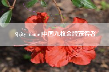 马鞍山中国九枚金牌获得者