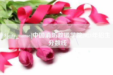 马鞍山中国消防救援学院2021年招生分数线