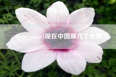 马鞍山现在中国哪几个金牌