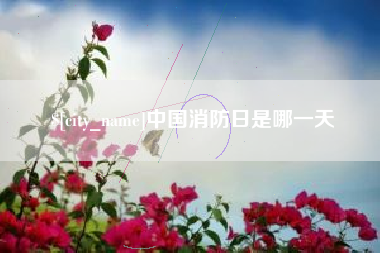 马鞍山中国消防日是哪一天