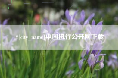 马鞍山中国执行公开网下载