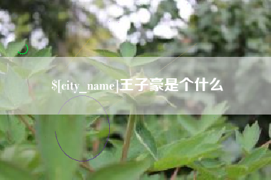 马鞍山王子豪是个什么