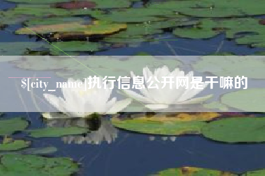 马鞍山执行信息公开网是干嘛的