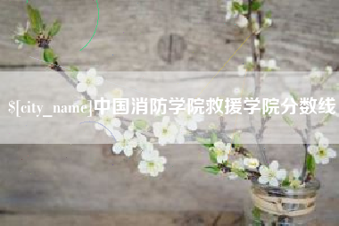 马鞍山中国消防学院救援学院分数线