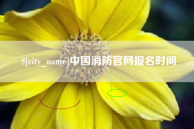 马鞍山中国消防官网报名时间