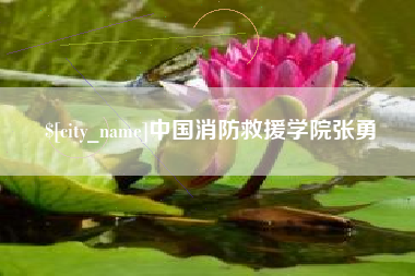 马鞍山中国消防救援学院张勇