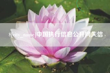 马鞍山中国执行信息公开网失信