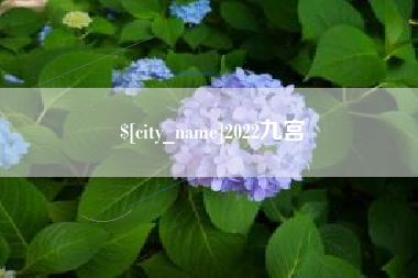 马鞍山2022九宫