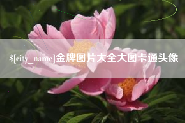 马鞍山金牌图片大全大图卡通头像
