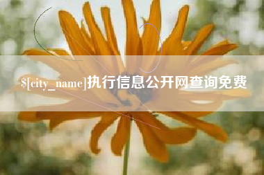 马鞍山执行信息公开网查询免费