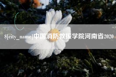马鞍山中国消防救援学院河南省2020